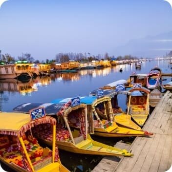 Goa